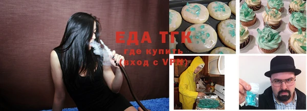 гашик Туринск