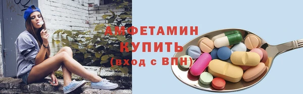 гашик Туринск