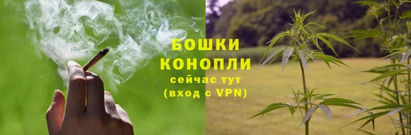 не бодяженный Тында