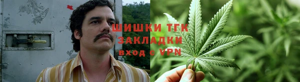 гашик Туринск