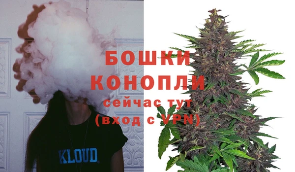 не бодяженный Тында
