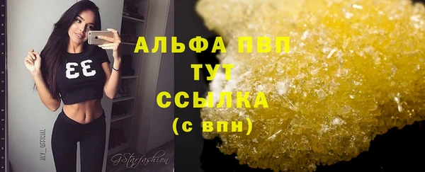 гашик Туринск