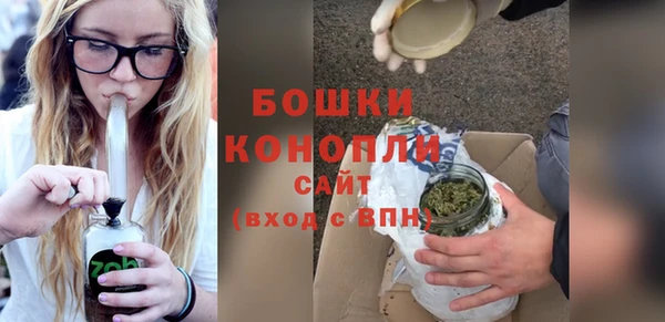 гашик Туринск